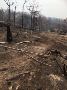 Bushfire Affected Community